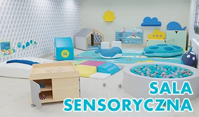 Zabawki i pomoce dydaktyczne